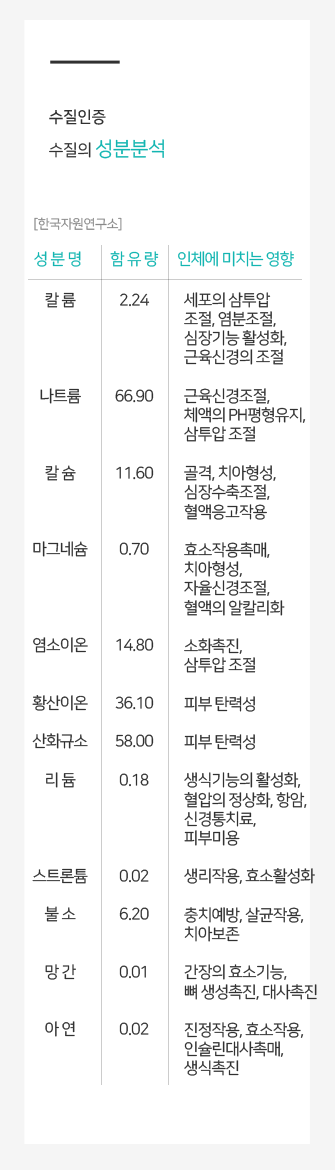 ��������_�����